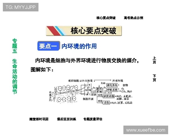 运动后乳酸堆积的科学缓解策略与身体恢复训练全面指南方法解析